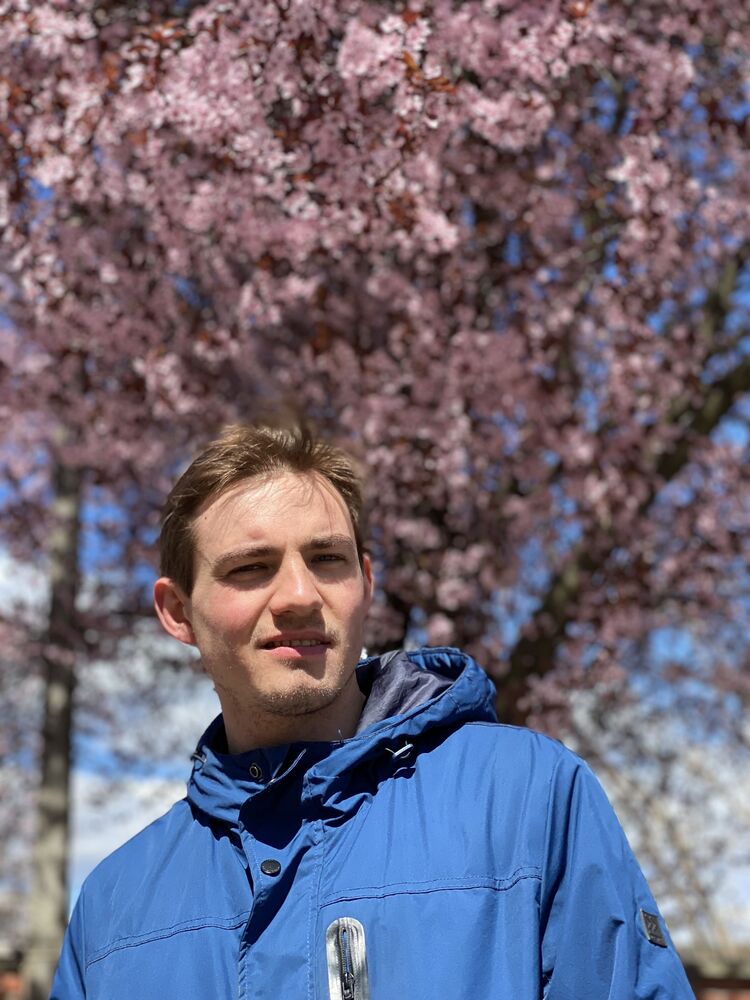 ���� 26224589 ������� ����, 31 ���, ���� ���������� � �����