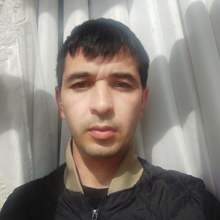  53374449  , 33 ,    -