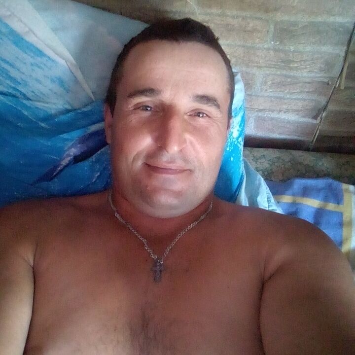  29274819  , 42 ,    