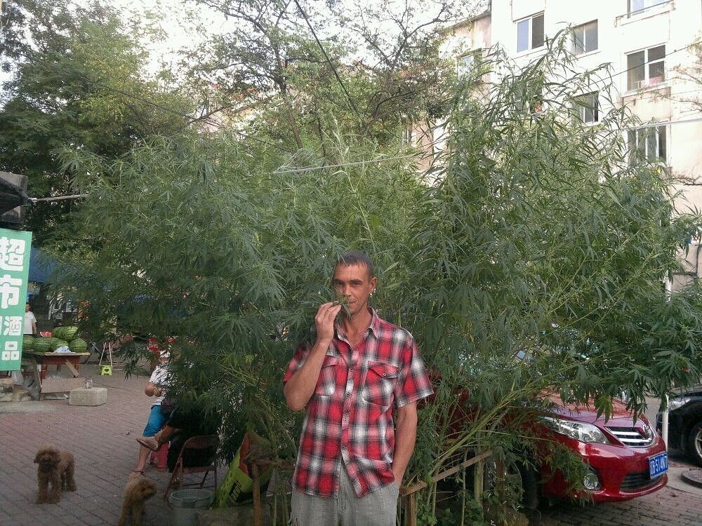 ���� 7594759 ������� ���������, 52 ����, ���� ���������� � ������������