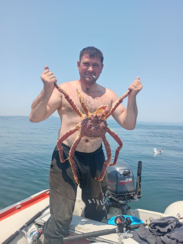 ���������� �����������, ���� ������� ����, 36 ���, ������������ ��� ������, ����� � ���������, c�������� ���������