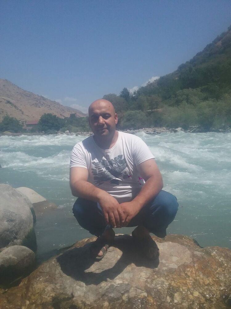  54039439  , 49 ,    -