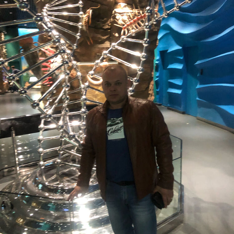 ���������� �����������, ���� ������� ������, 43 ����, ������������ ��� ������, ����� � ���������, c�������� ���������, ���������