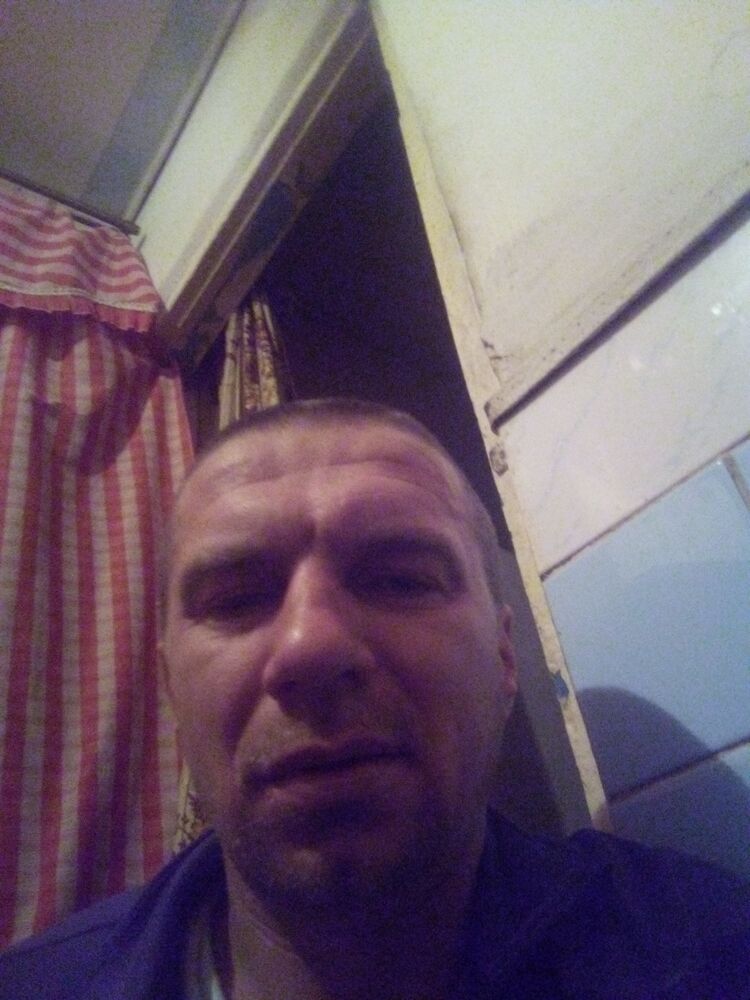  31328079  , 38 ,    