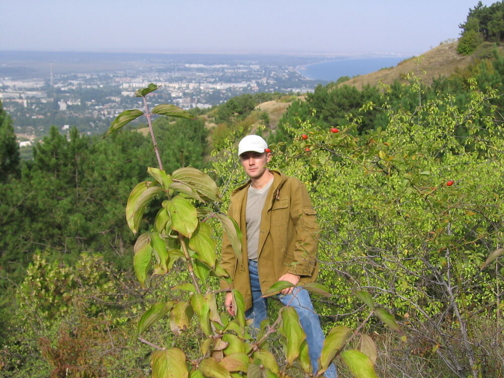 ���� 53372589 ������� ������, 38 ���, ���� ���������� � ��������