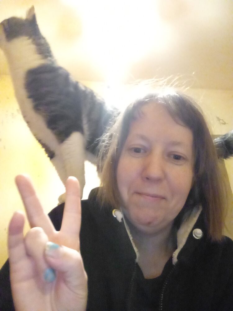  ,   , 42 ,   c 
