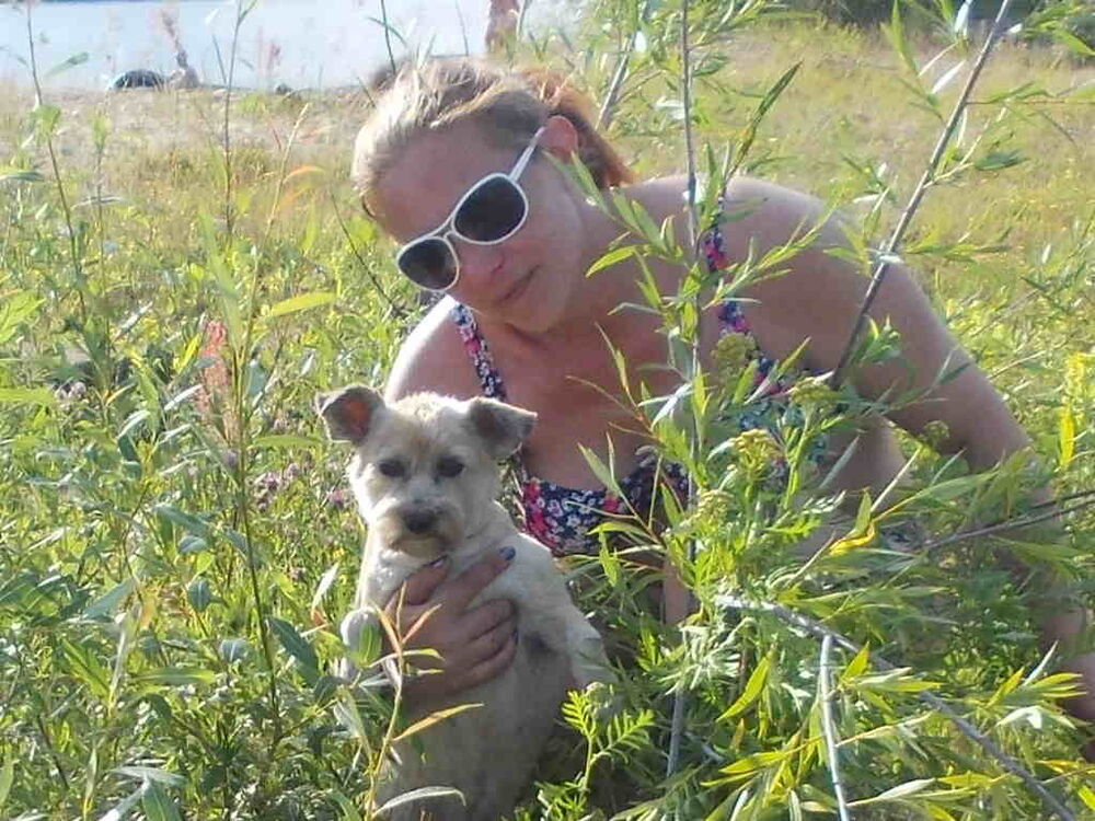 ���������� �����������, ���� ������� ������, 49 ���, ������������ 