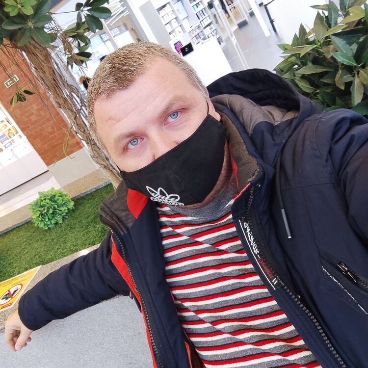 ���� 24424849 ������� Lion, 39 ���, ���� ���������� � �������