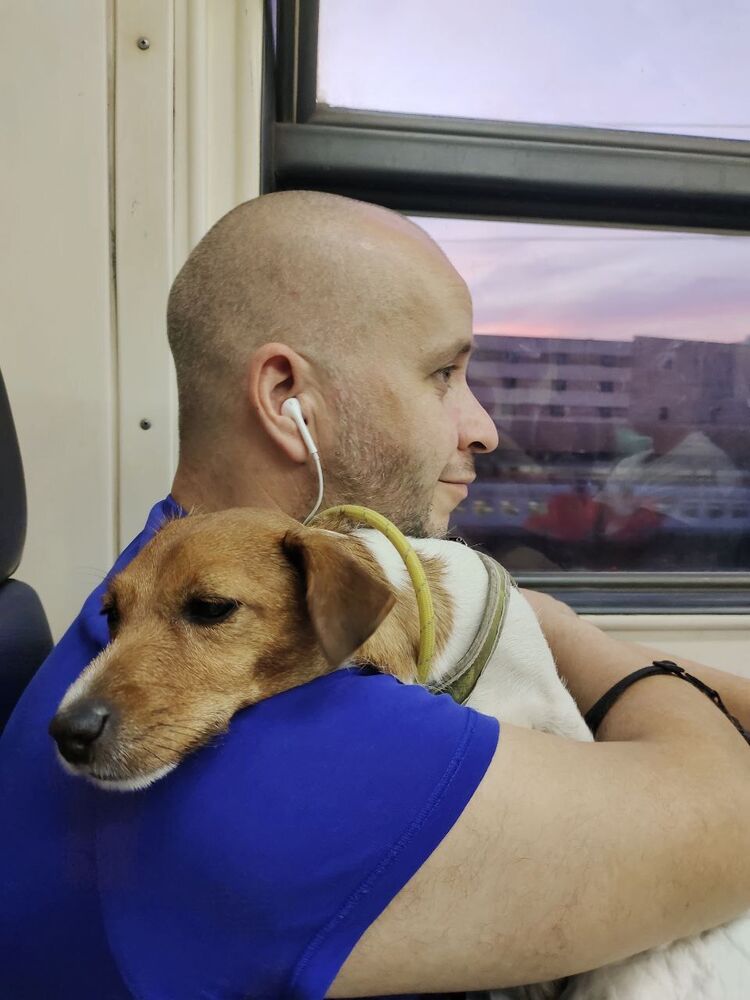 ���������� ������, ���� ������� ������, 45 ���, ������������ ��� ����� � ���������, c�������� ���������