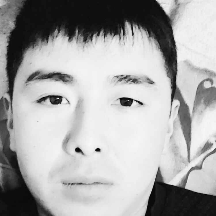 ���� 18646659 ������� ����, 33 ����, ���� ���������� � ���������