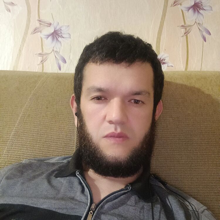 ���� 48085989 ������� �����, 33 ����, ���� ���������� � ������