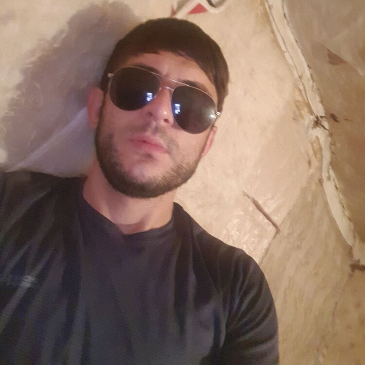  29353099  , 31 ,    