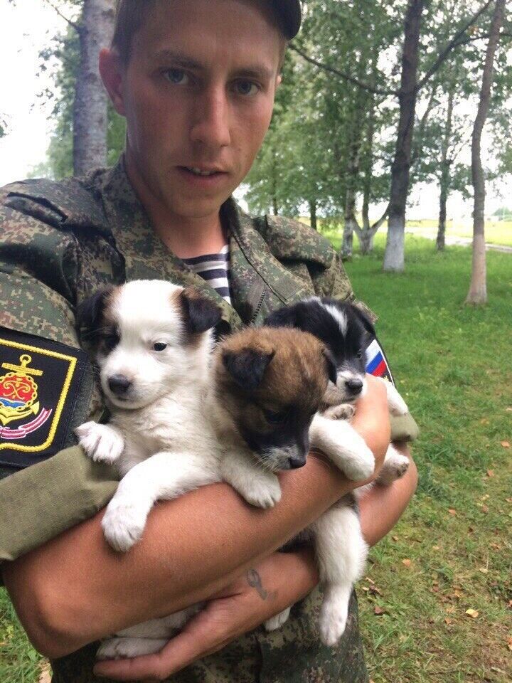 ���������� ������, ���� ������� ������, 29 ���, ������������ ��� ������, ����� � ���������, c�������� ���������