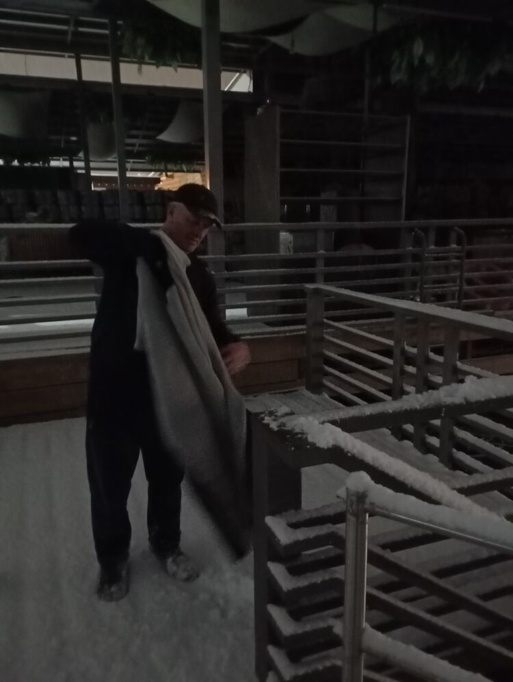 ���� 55987239 ������� �����, 45 ���, ���� ���������� � �������������