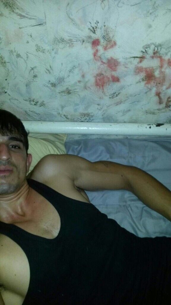 ���� 28732599 ������� Emil, 31 ���, ���� ���������� � ��������