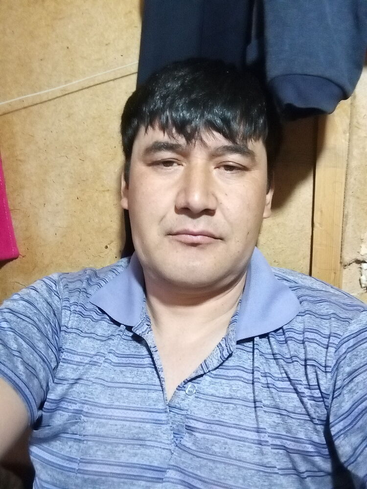  33720629  , 41 ,    