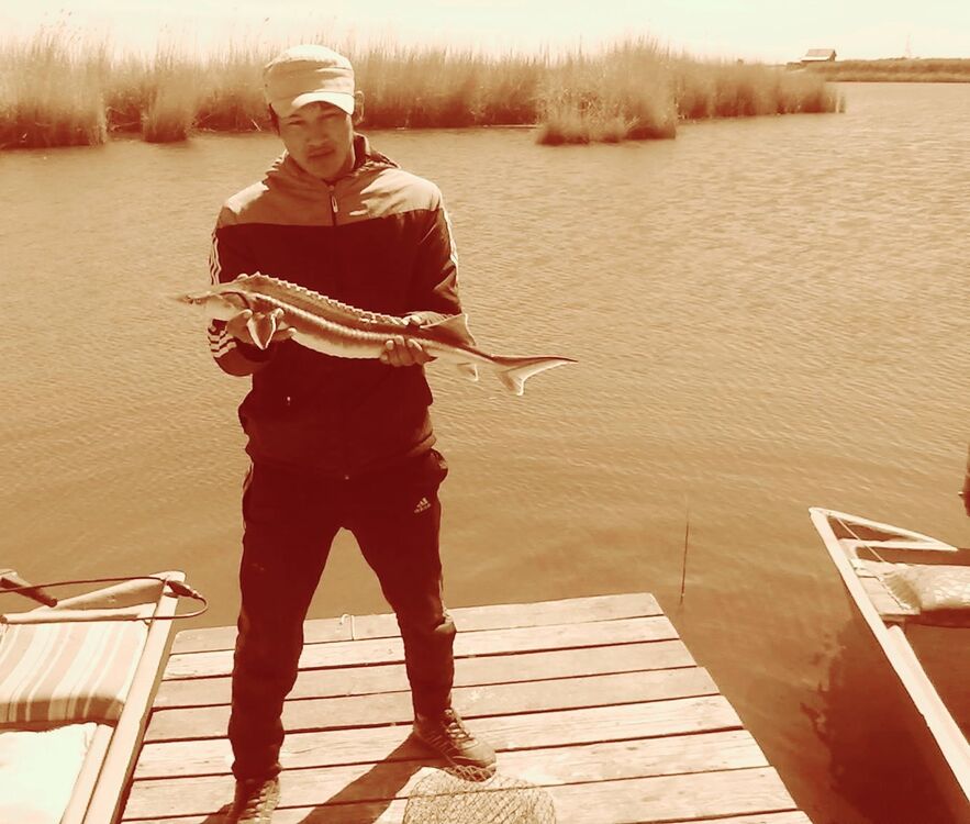 ���������� ������, ���� ������� Saken, 35 ���, ������������ ��� ������, ����� � ���������, c�������� ���������, ���������