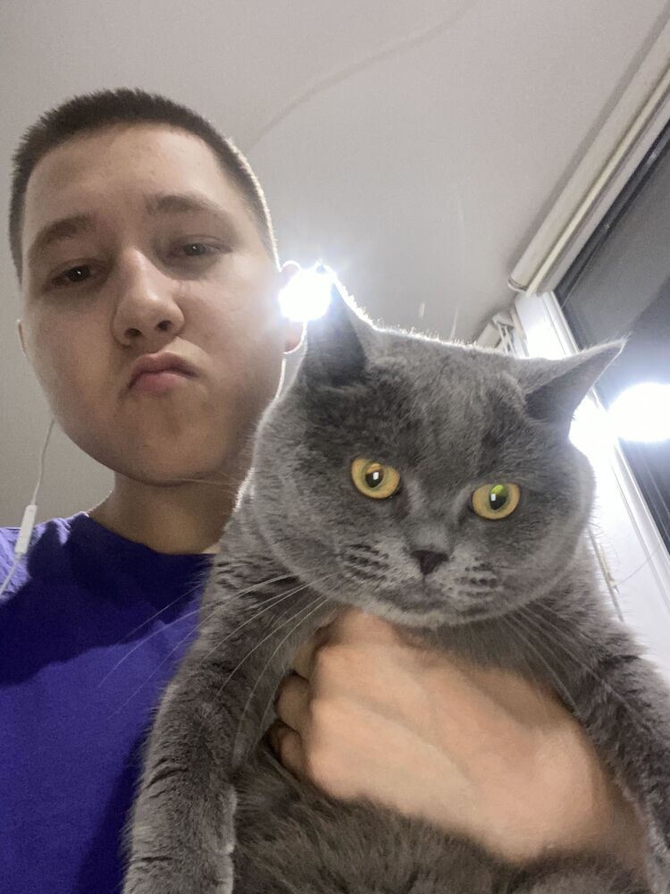 ���������� ������, ���� ����� ��������, 23 ����, ������������ ��� ������, ����� � ���������, ���������