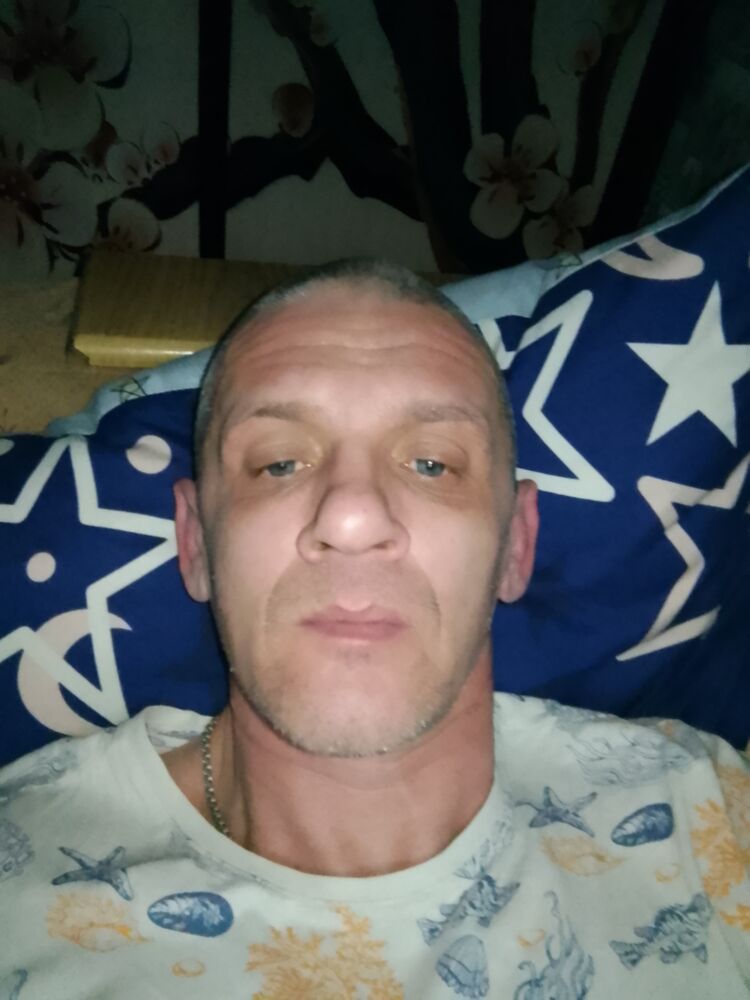  40661599  , 50 ,    