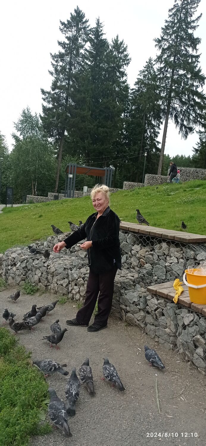  ,   , 51 ,   c , 