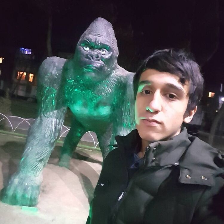 ���� 11951629 ������� ����� ����, 27 ���, ���� ���������� � �������