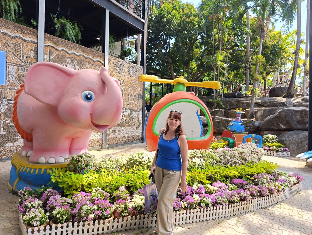 ���� 49937719 ������� ������, 49 ���, ���� ���������� � ����������