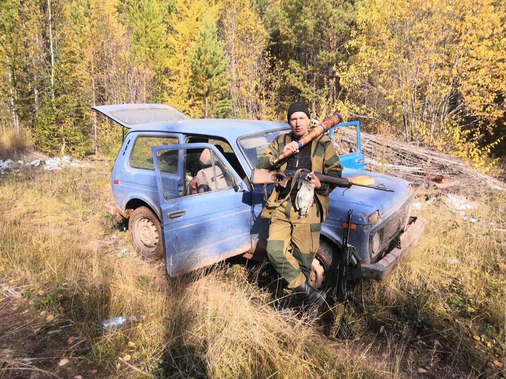  54136379  , 43 ,    -