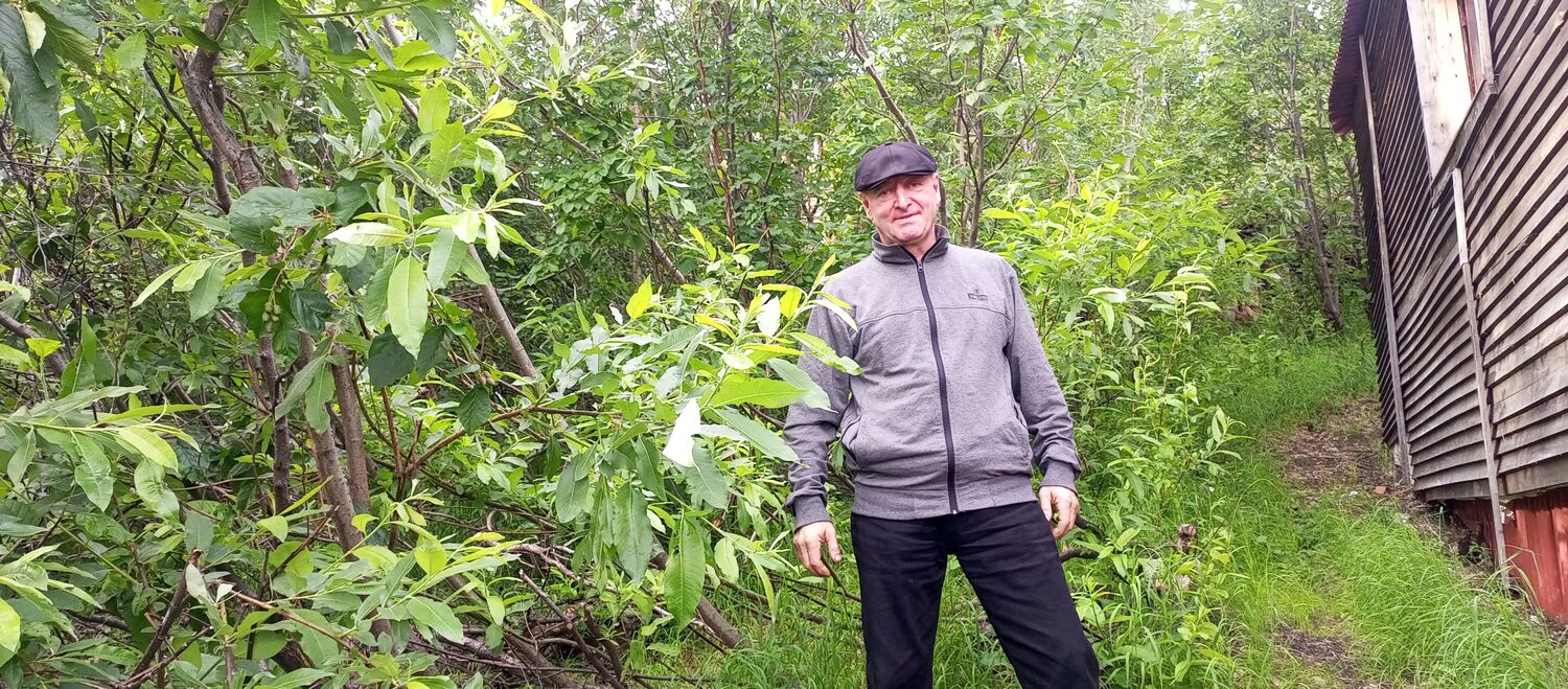 ���� 55325349 ������� ���� ����, 54 ����, ���� ���������� � ���������