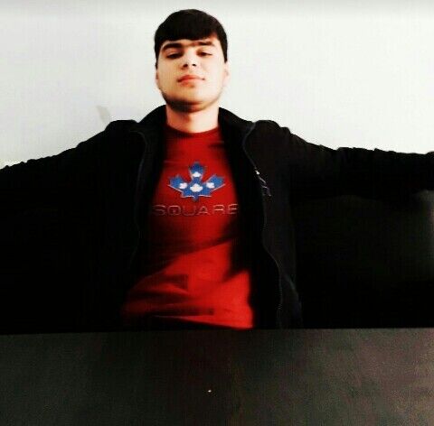 ���� 23534519 ����� ZAYN, 23 ����, ���� ���������� � ������