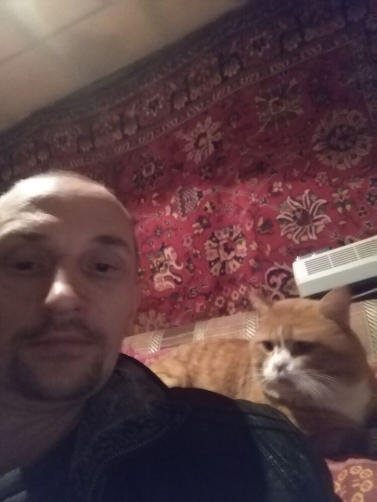 ���� 22533829 ������� ����, 49 ���, ���� ���������� � �����