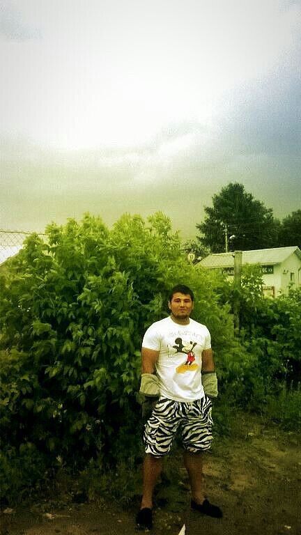  -,   , 32 ,   ,   