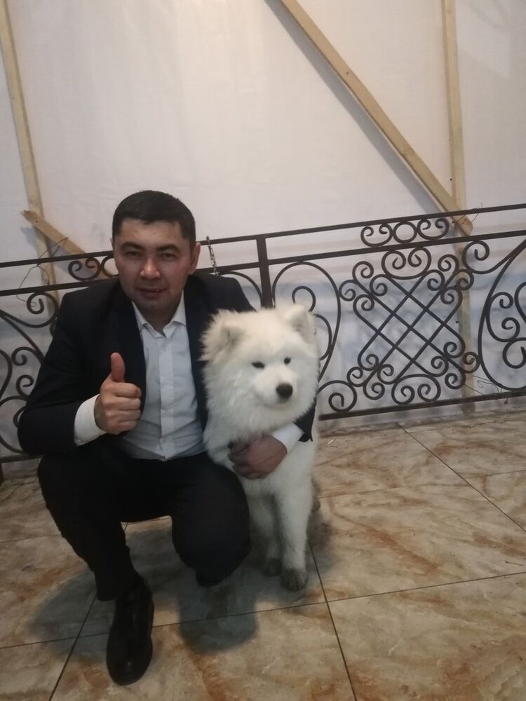  ,   Kuben, 41 ,   ,   , c 