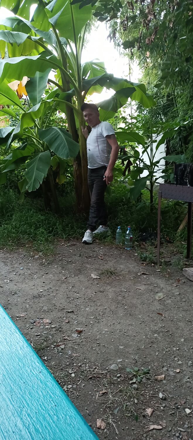  45559719  , 37 ,    