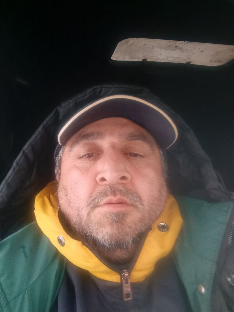  49968919  , 43 ,    