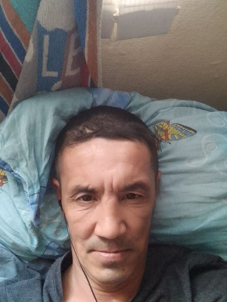  43418319  , 51 ,    