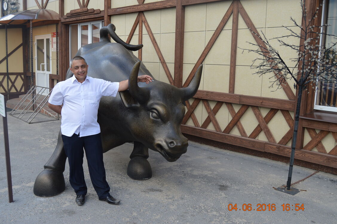 ���� 56233109 ������� �������, 46 ���, ���� ���������� � �������