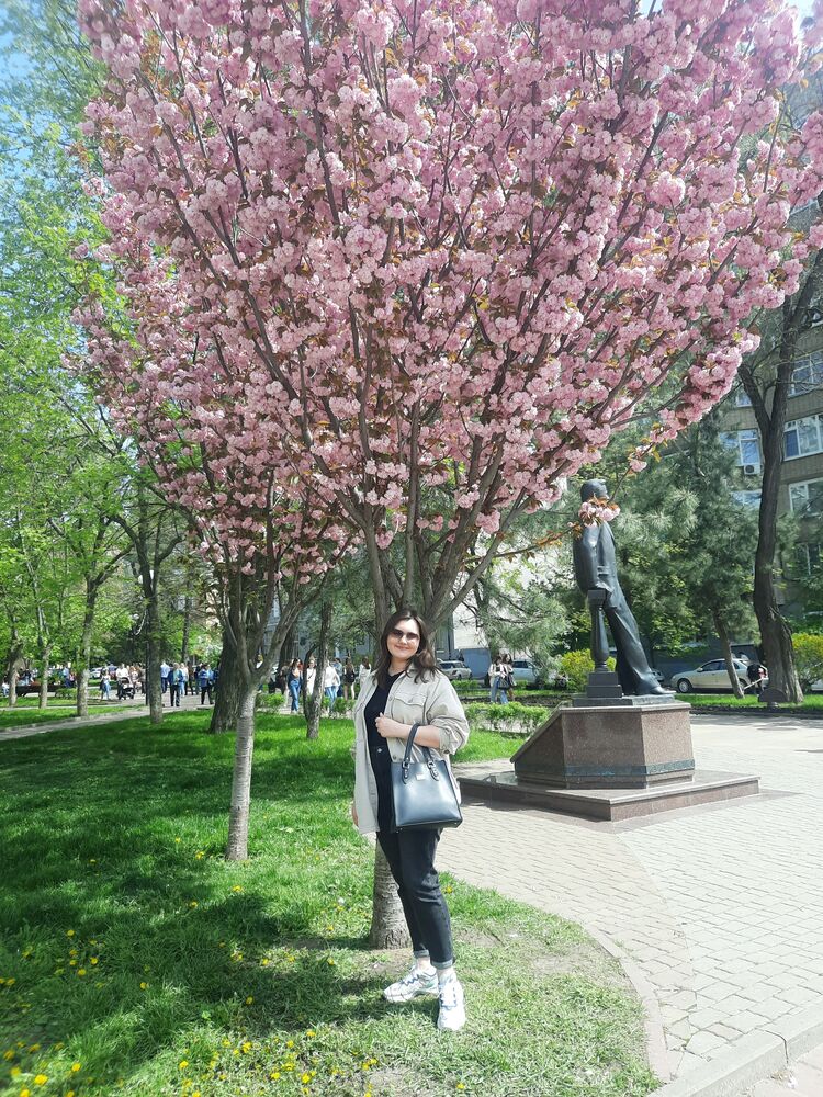  33046009  , 28 ,    --