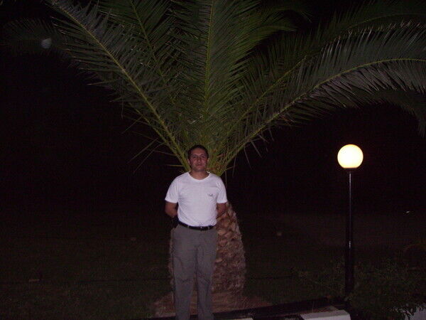  ,   arat, 51 ,   ,   