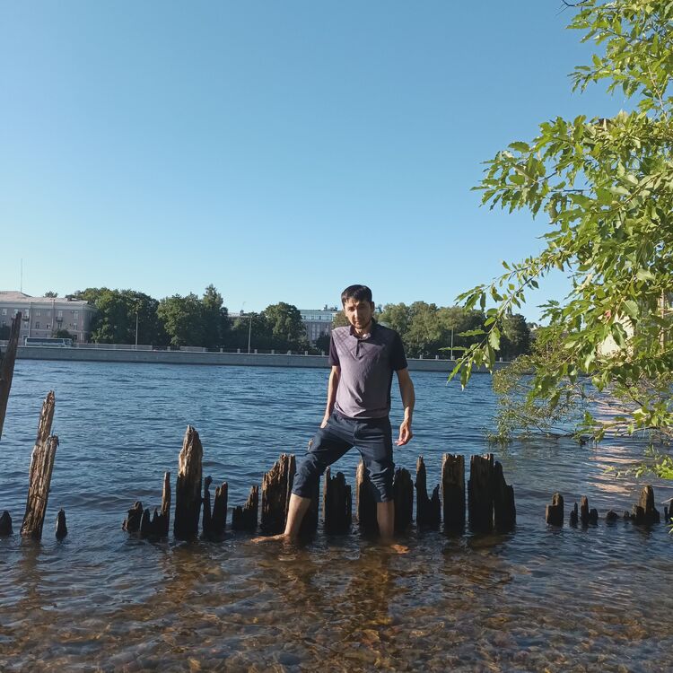  29941579  , 34 ,    -