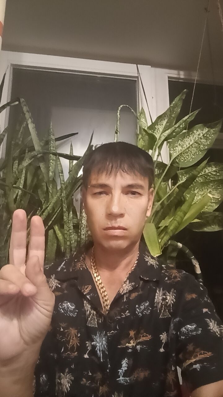 53925679  , 30 ,    