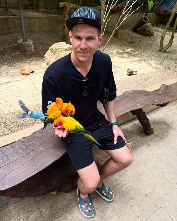 ���� 55558499 ������� �������, 31 ���, ���� ���������� � ����������