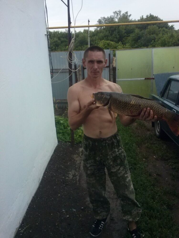 ���������� ��������, ���� ������� ����, 46 ���, ������������ ��� ����� � ���������, c�������� ���������