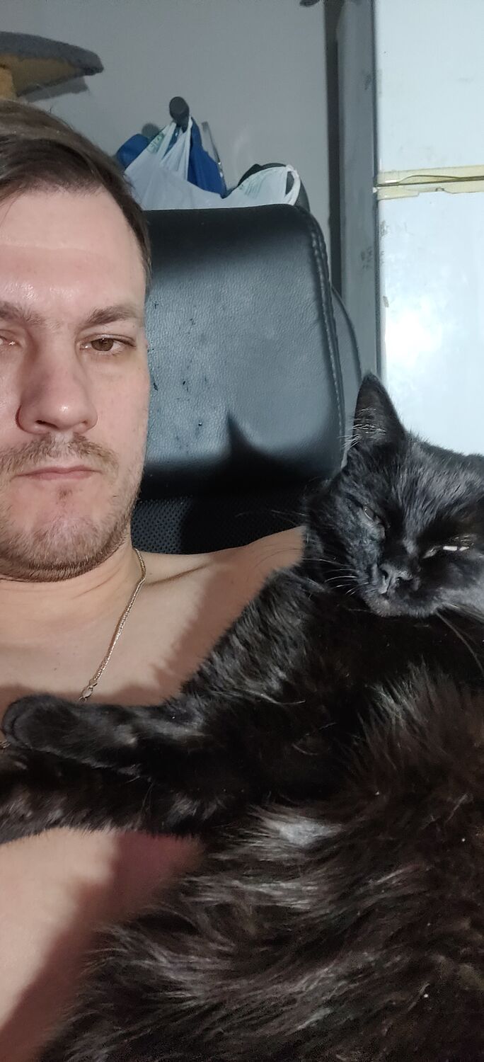 ���������� �����������, ���� ������� ������, 38 ���, ������������ ��� ������, ����� � ���������, c�������� ���������