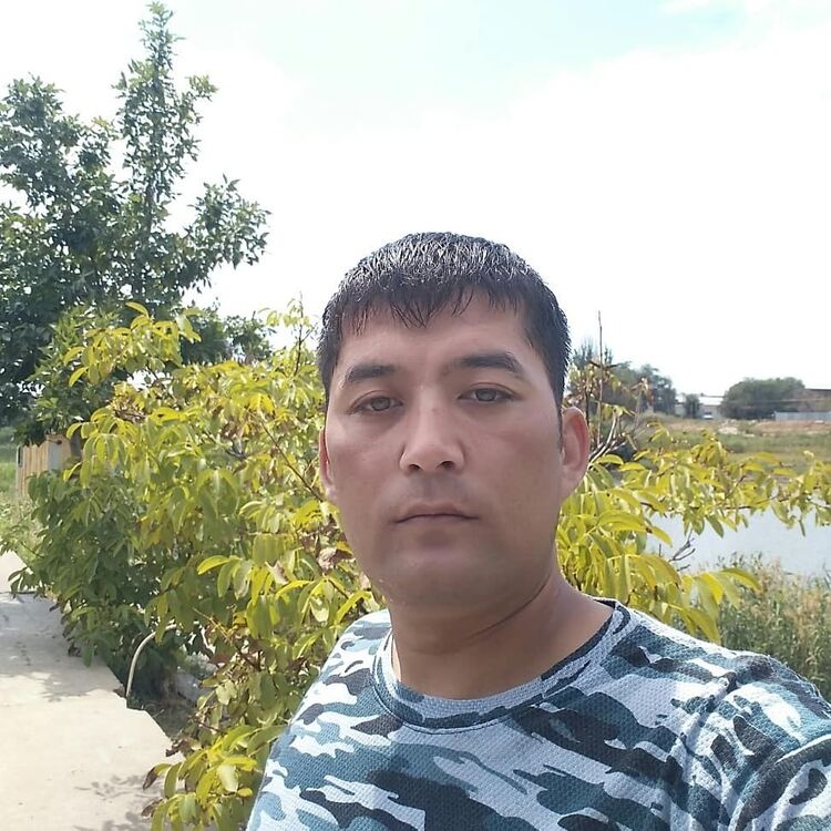 ���������� ���������, ���� ������� �����, 33 ����, ������������ ��� ������, ����� � ���������, c�������� ���������