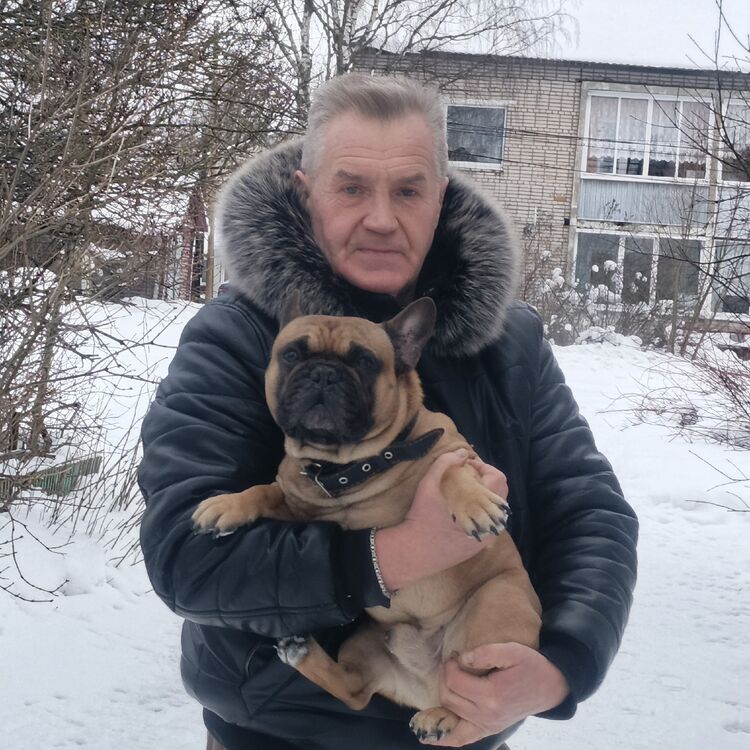 ���� 56132509 ������� �������, 58 ���, ���� ���������� � �������