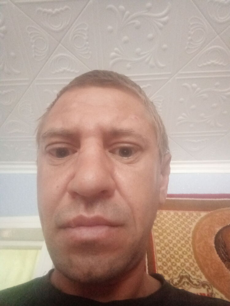  46010429  , 43 ,    