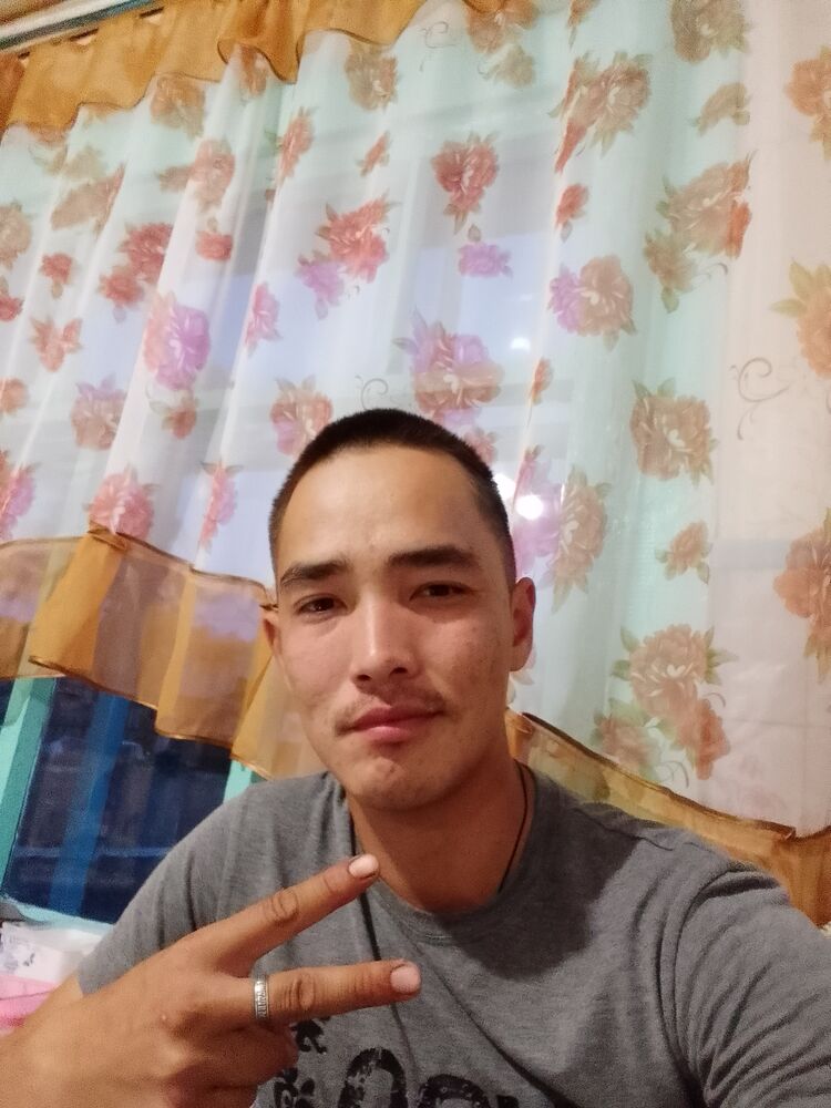  41283219  , 29 ,    