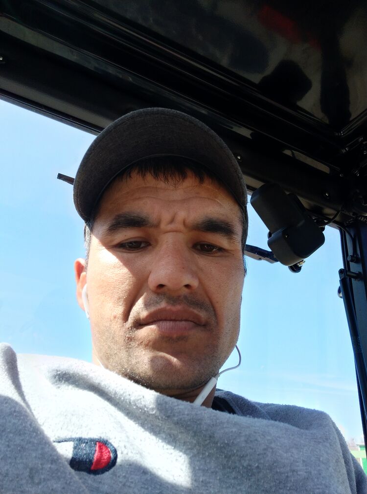 ���� 26464089 ������� ����������, 31 ���, ���� ���������� � �����-����������