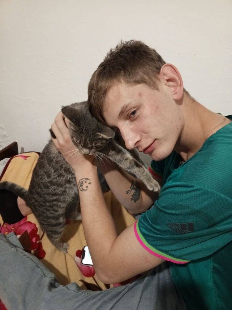  53323079  , 25 ,    -