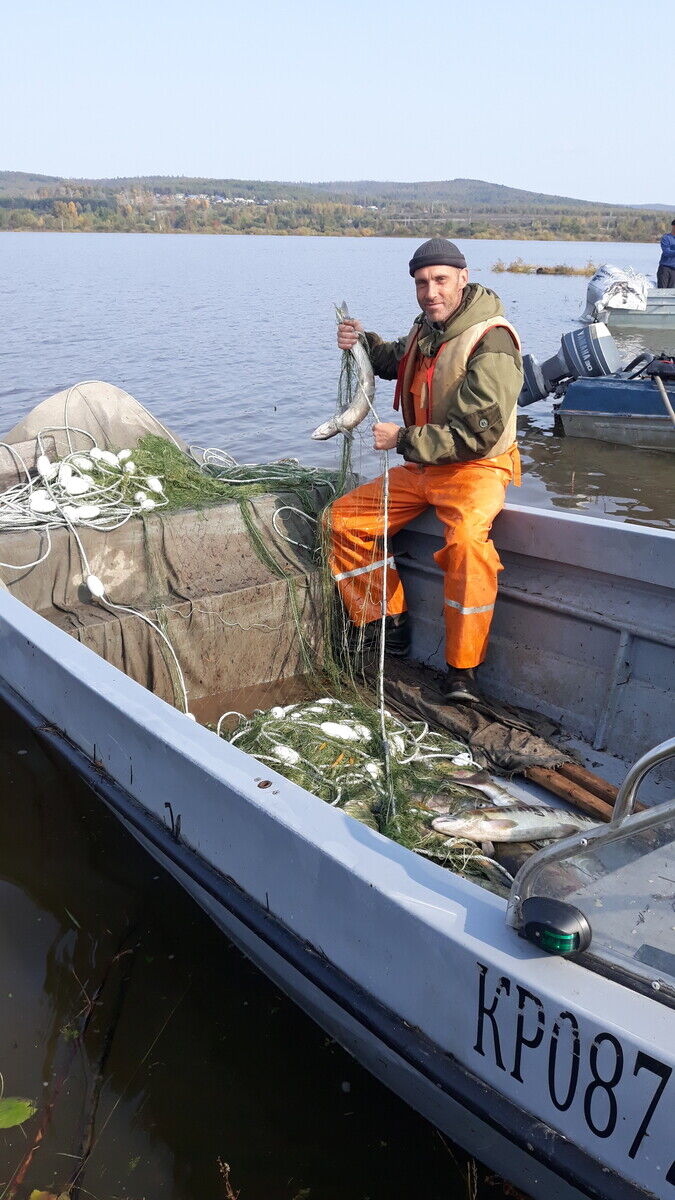 ���������� �����������-��-�����, ���� ������� ������, 48 ���, ������������ 